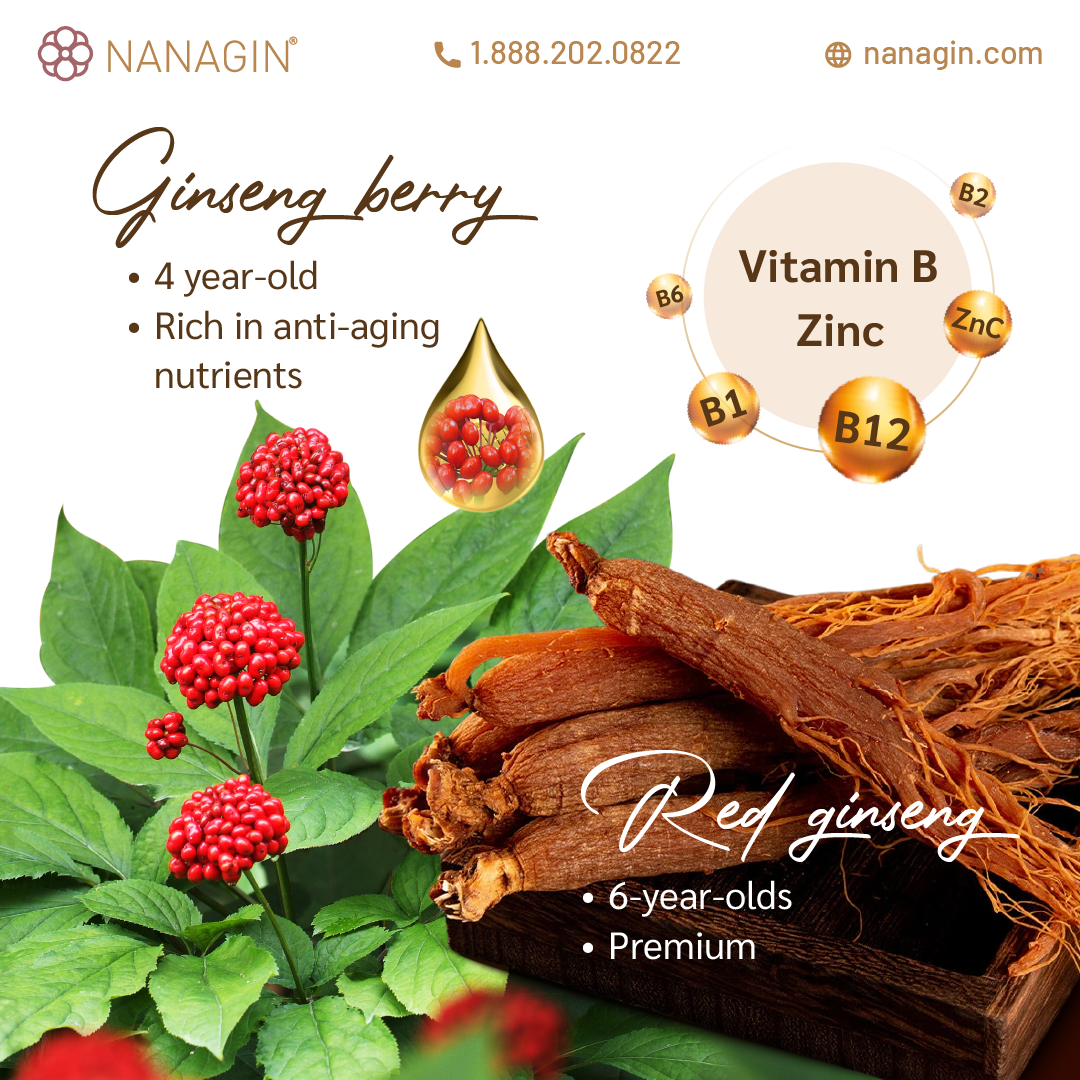 Korean Ginseng Berry Drink GB60