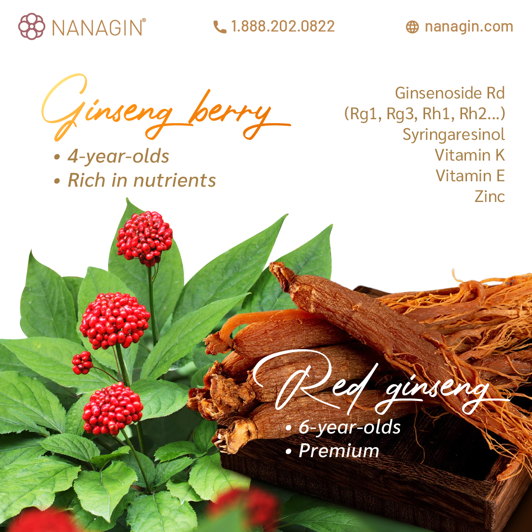 Korean Ginseng  KG90