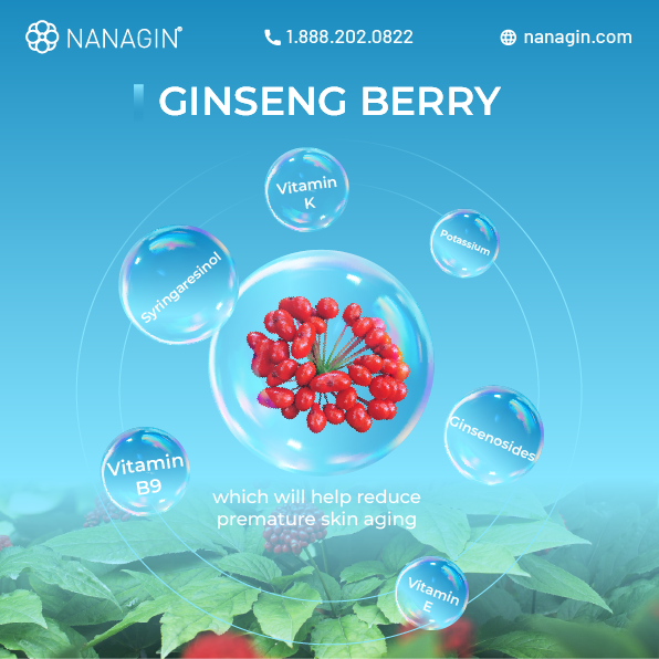 Aquagin Gingseng Berry Mask