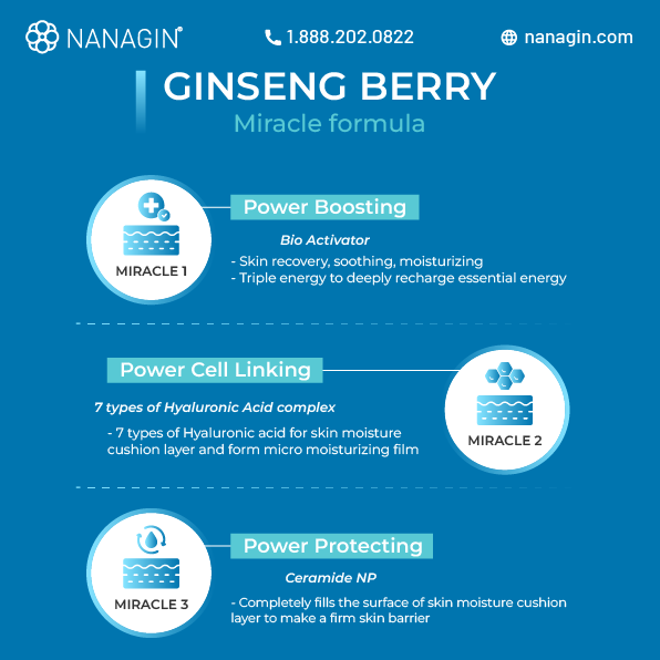 Aquagin Gingseng Berry Mask